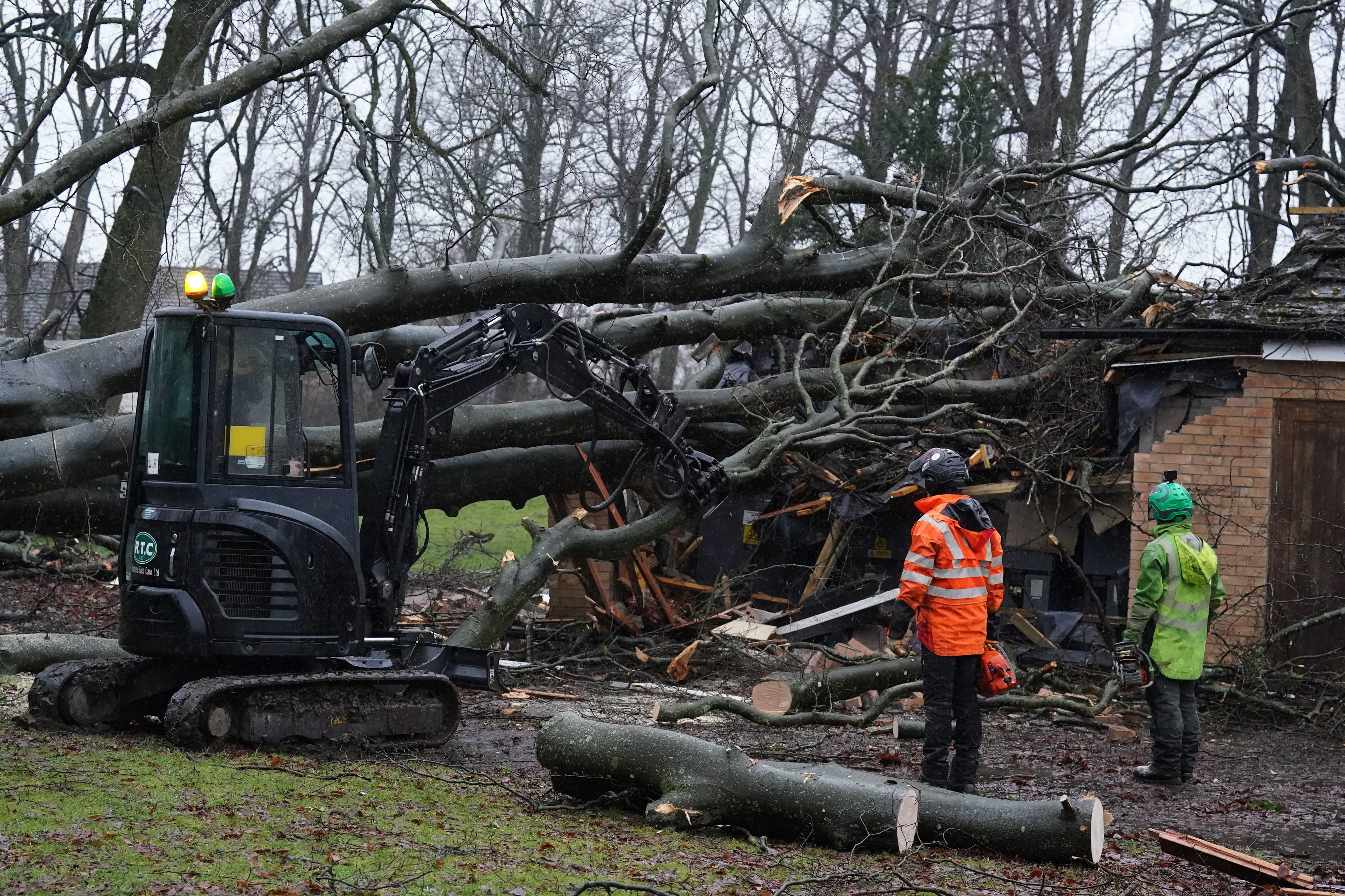 Workers remove a tree that fell on an electricity substation on the Kinnaird estate in Larbert during Storm Isha on Sunday