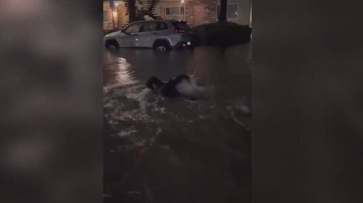 Man goes swimming in waist deep Santa Cruz floodwater News