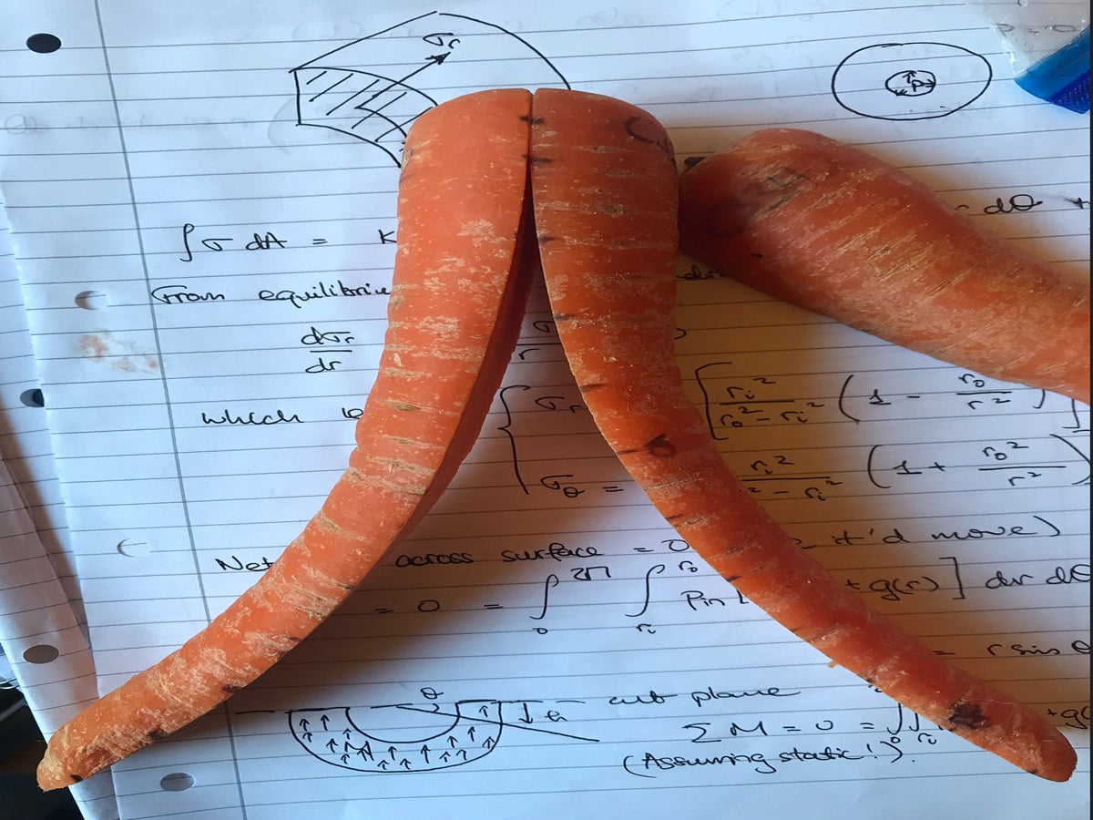 Carrot found in garden shaped like woman's legs, UK, News