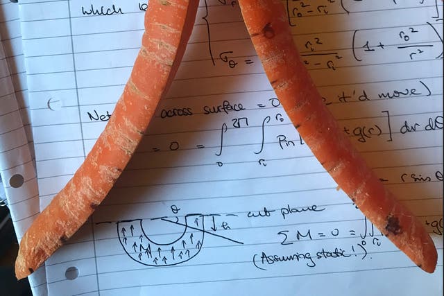 <p>Curled carrot</p>