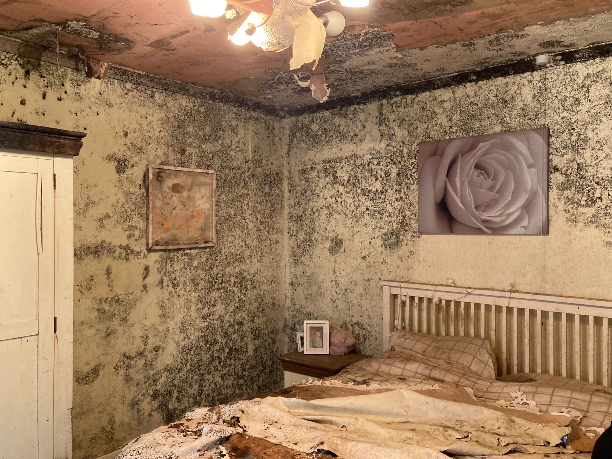 The elderly woman’s bedroom covered in deadly mould