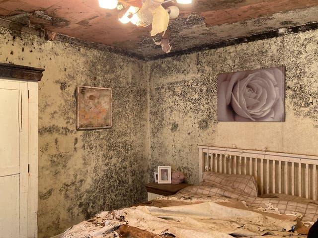 <p>The elderly woman’s bedroom covered in deadly mould</p>