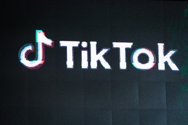 <p>TikTok is one of the most popular apps in the US, amassing more than 170 million users in the country since launching in September 2017 </p>