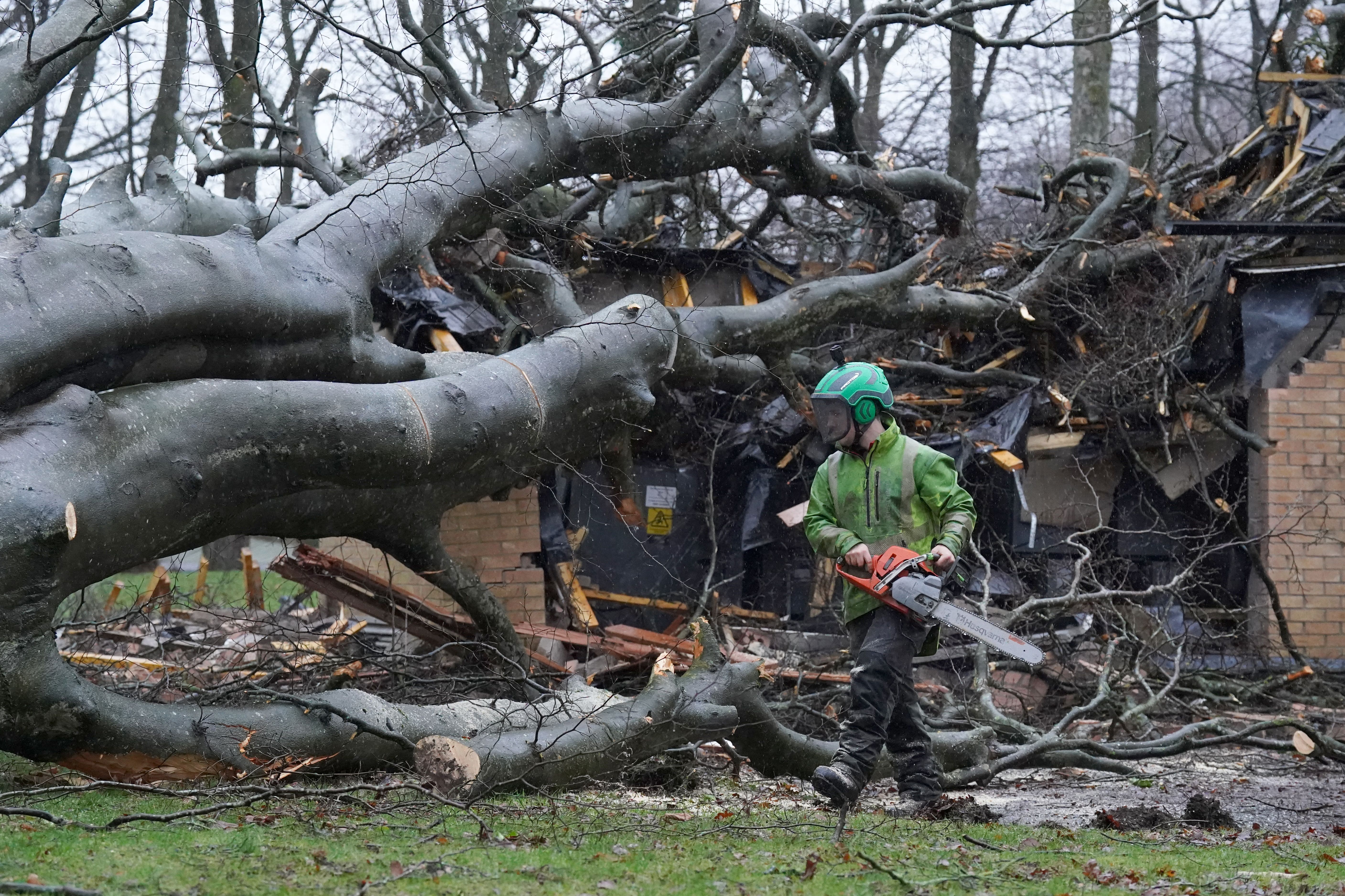 Workers remove a tree that fell on an electricity substation on the Kinnaird estate in Larbert during Storm Isha on Sunday (Andrew Milligan/PA)