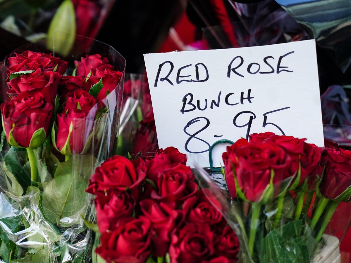 Befürchtungen über einen Mangel an roten Rosen zum Valentinstag aufgrund von Brexit-Kontrollen