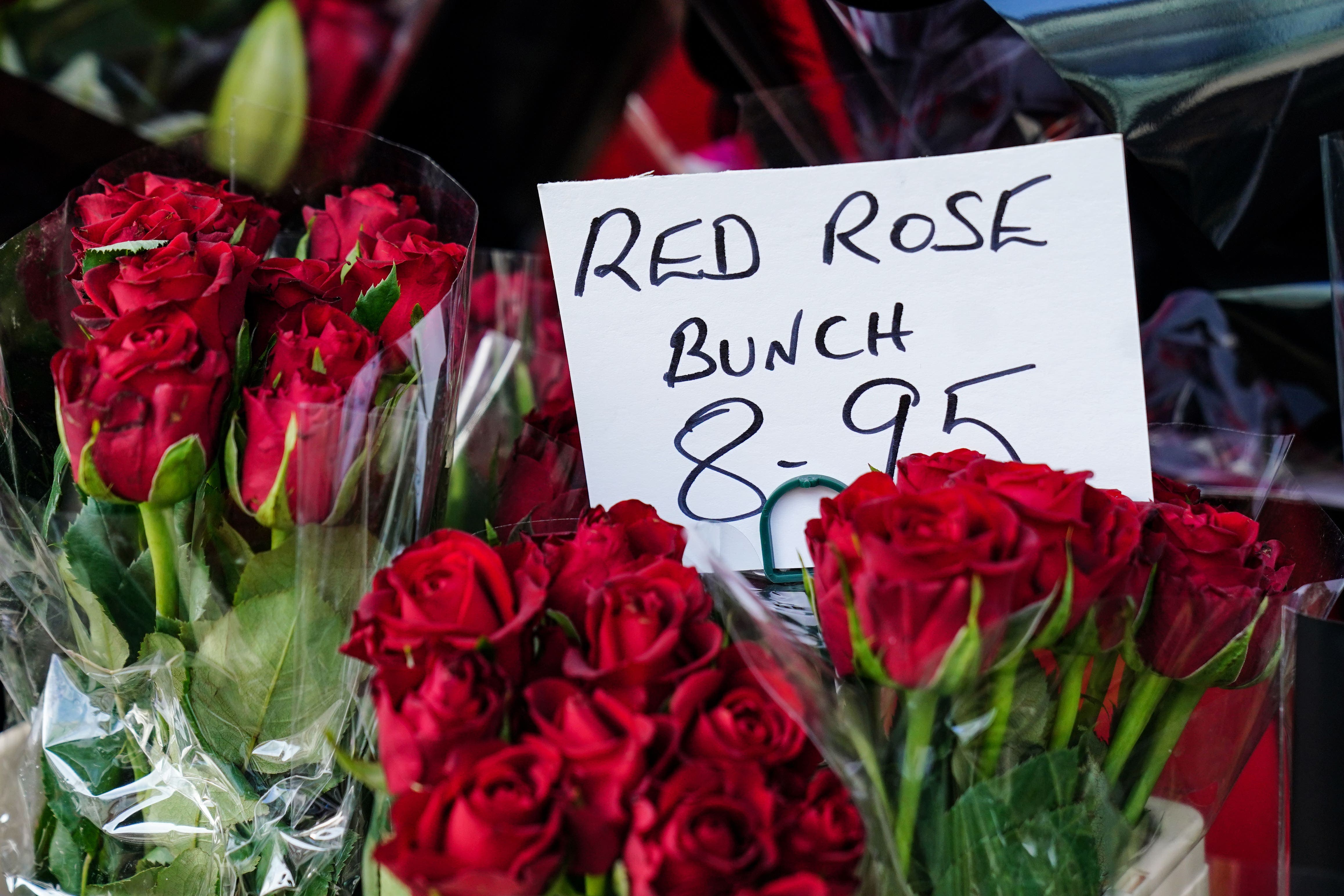 Roses are red, violets are blue, will there be a shortage from the EU? - Vimarsana News