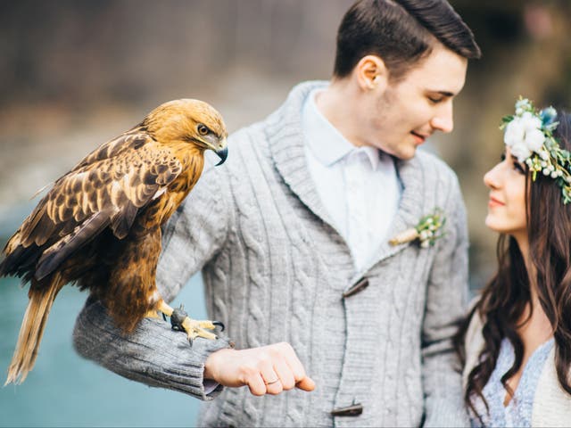 <p>An eagle perches on a groom’s forearm as he holds the bride by his side. </p>