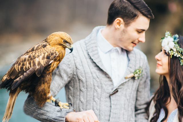 <p>An eagle perches on a groom’s forearm as he holds the bride by his side. </p>