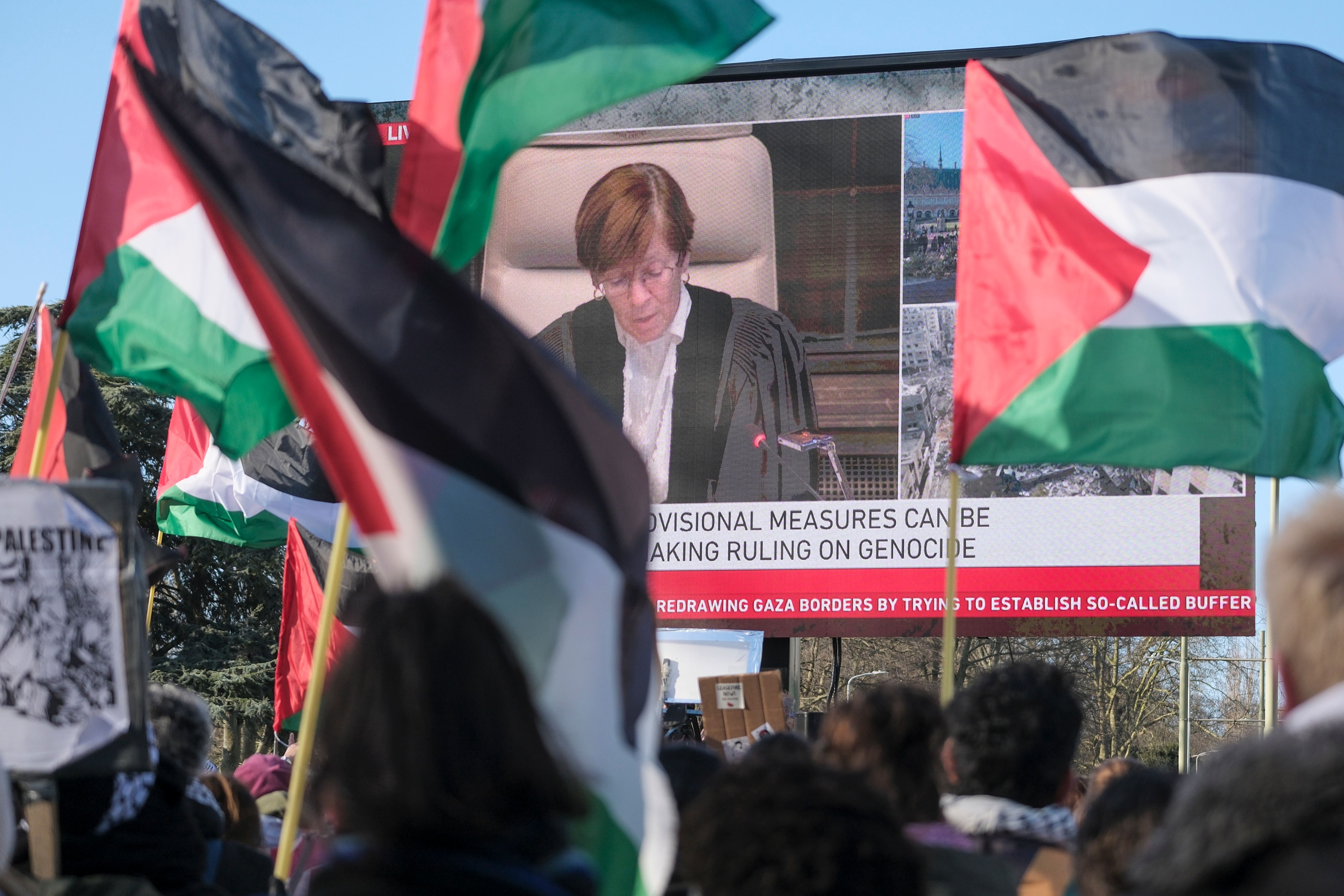 Pro-Palestinian activists wave flags during session of the International Court of Justice (Patrick Post/AP)