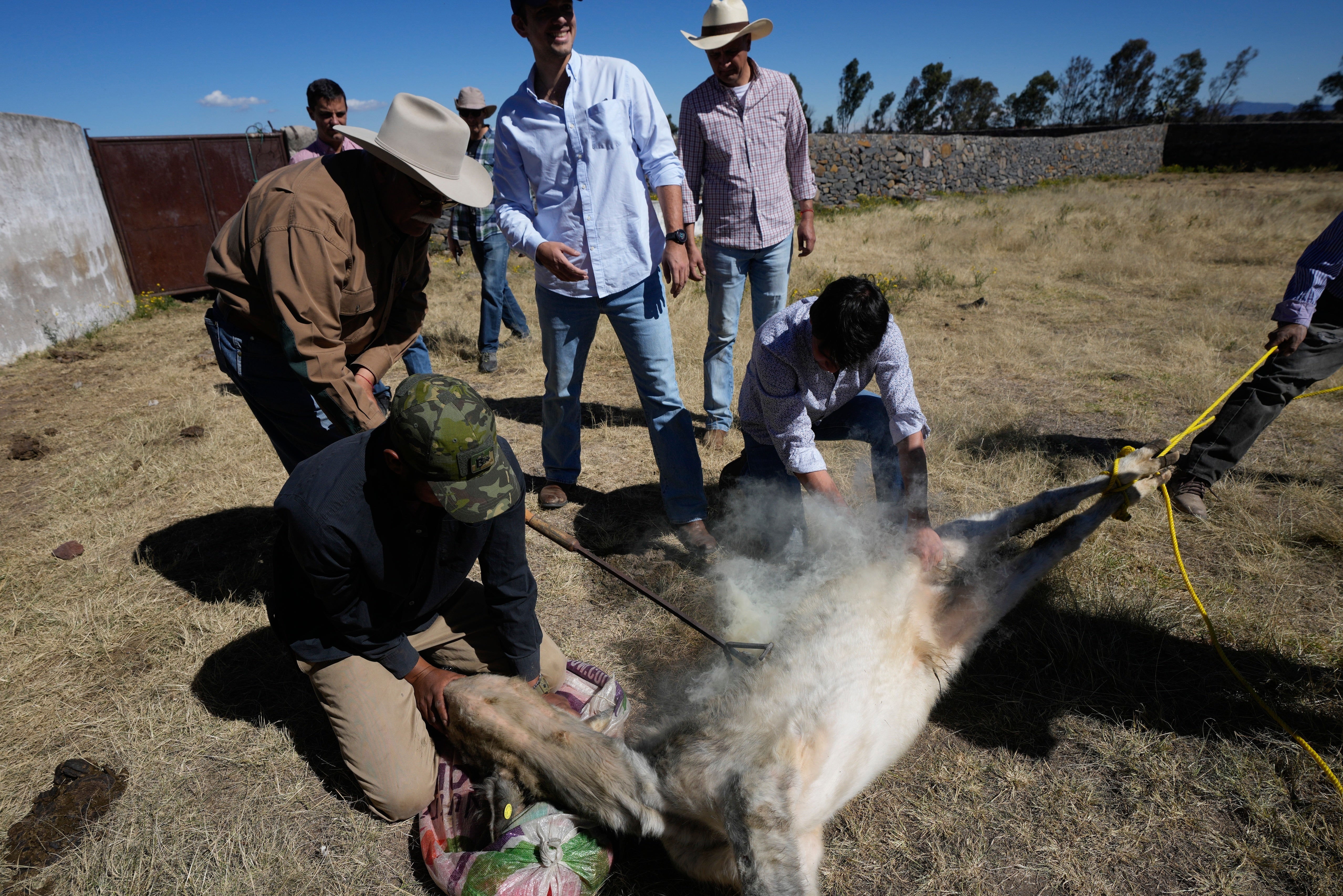 Mexico Bullfighting Workshop