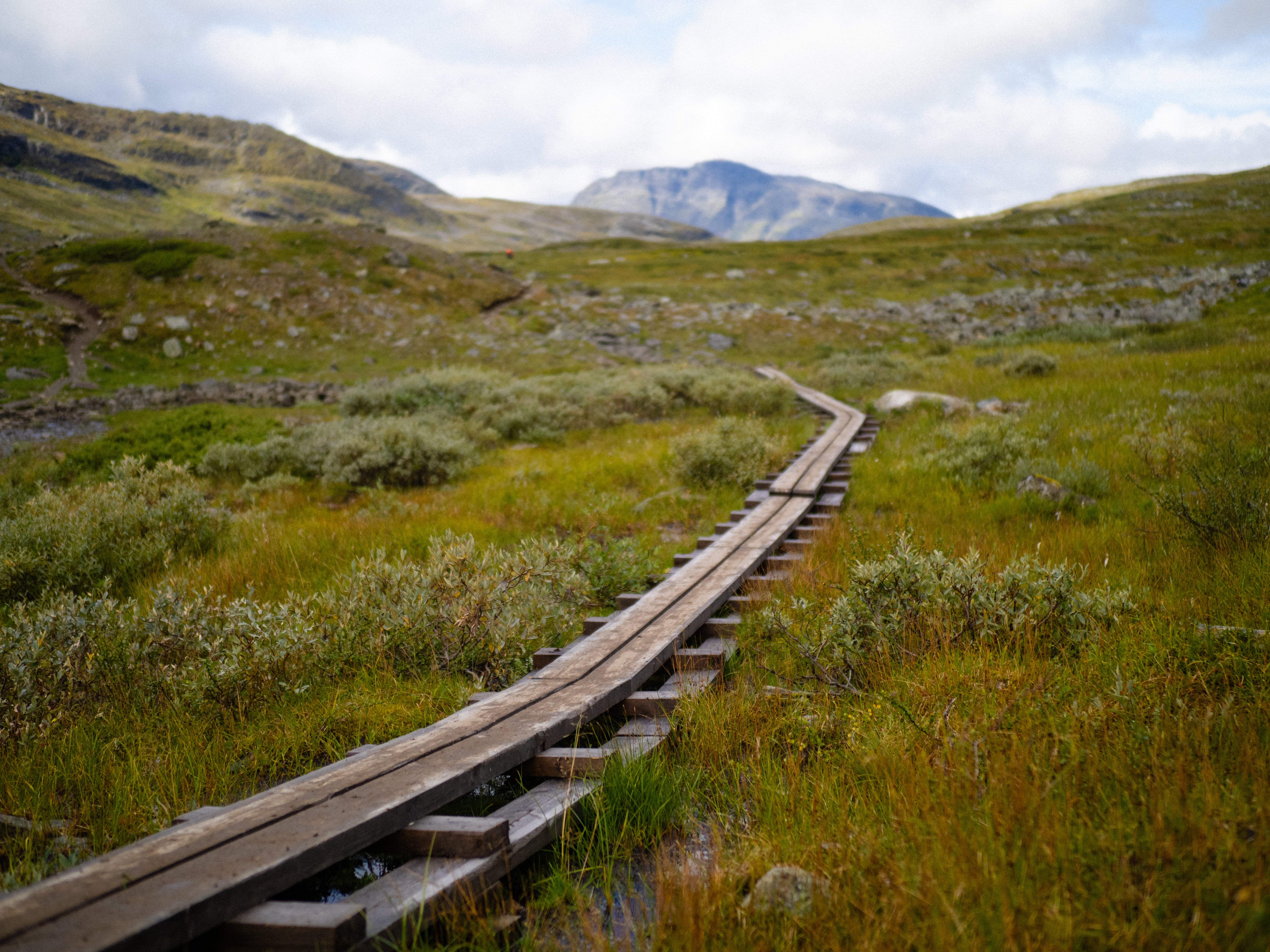 The Kungsleden Trail is a mixture of rocky footpaths and wooden boards to cross sodden terrain