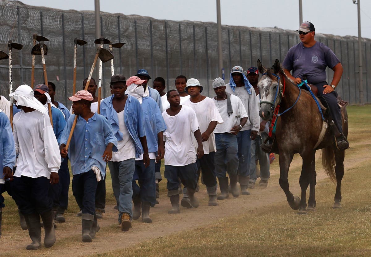 Prison labour tied to giant US food brands such as Walmart and McDonald's, investigation finds - Vimarsana News