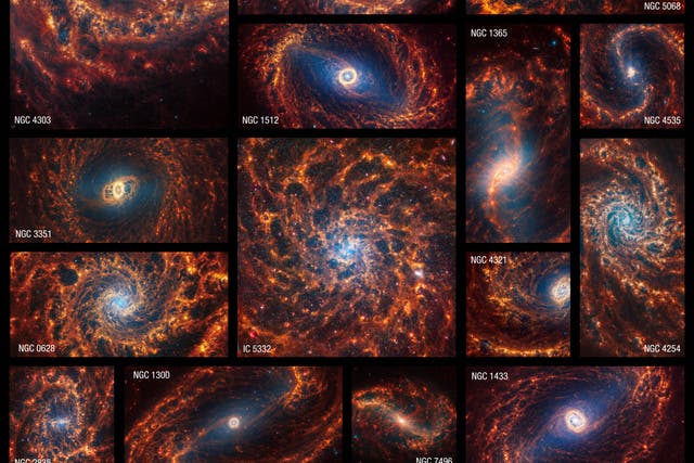Nineteen Webb images of face-on spiral galaxies are combined in a mosaic (Nasa/Esa/CSA/STScI/J Lee [STScI]/T Williams [Oxford]/PHANGS Team/E Wheatley [STScI]/PA)