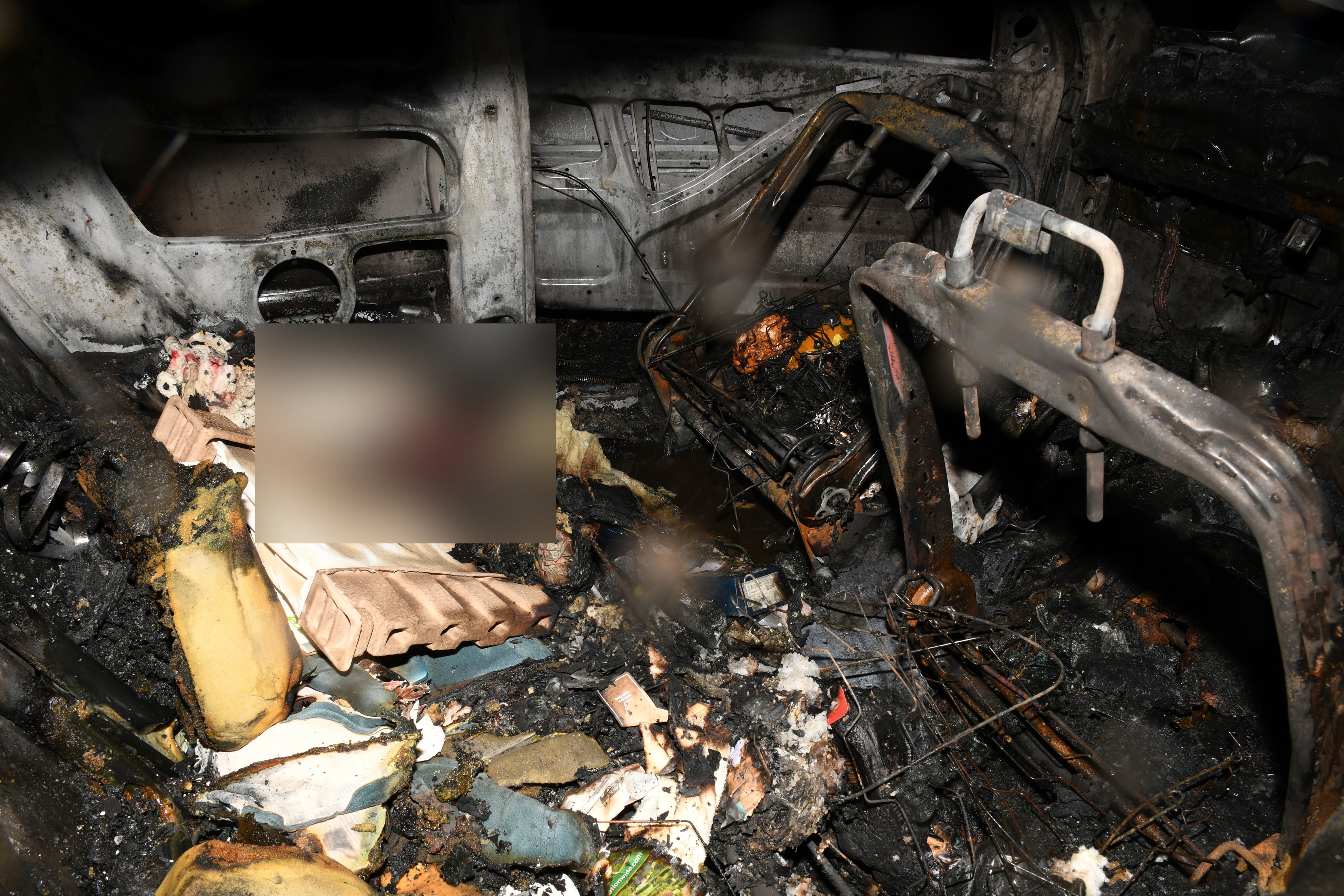 A placenta was among the charred objects found in the burnt out vehicle, the trial heard