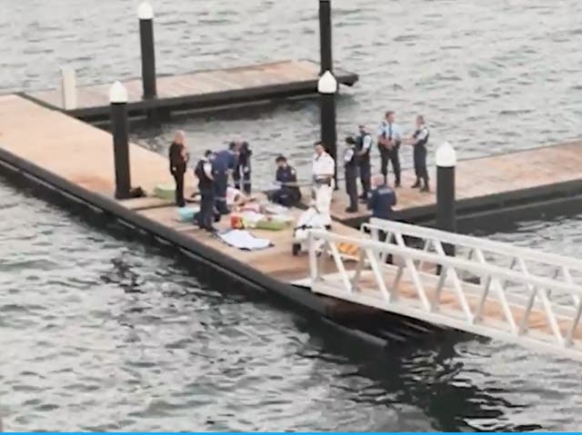 <p>Lauren O’Neill, 29, was swimming near a private wharf in Elizabeth Bay of Sydney Harbour on Monday evening when a shark mauled her leg </p><p></p>