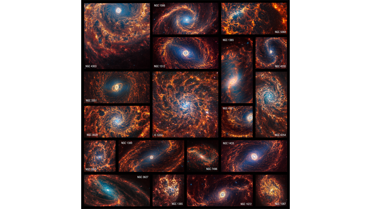 Images of 19 face-on spiral galaxies taken by the James Webb Space Telescope