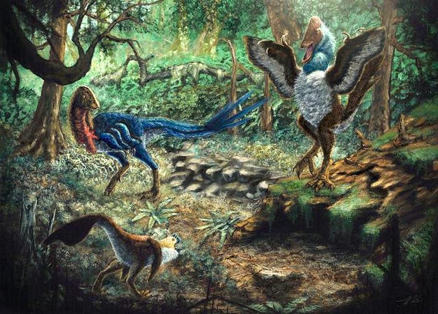 <p>Artist’s depiction of Eoneophron infernalis (top left), MOR 752 (bottom left), and Anzu wyliei (right) in the Hell Creek Formation</p>