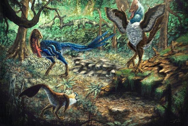 <p>Artist’s depiction of Eoneophron infernalis (top left), MOR 752 (bottom left), and Anzu wyliei (right) in the Hell Creek Formation</p>