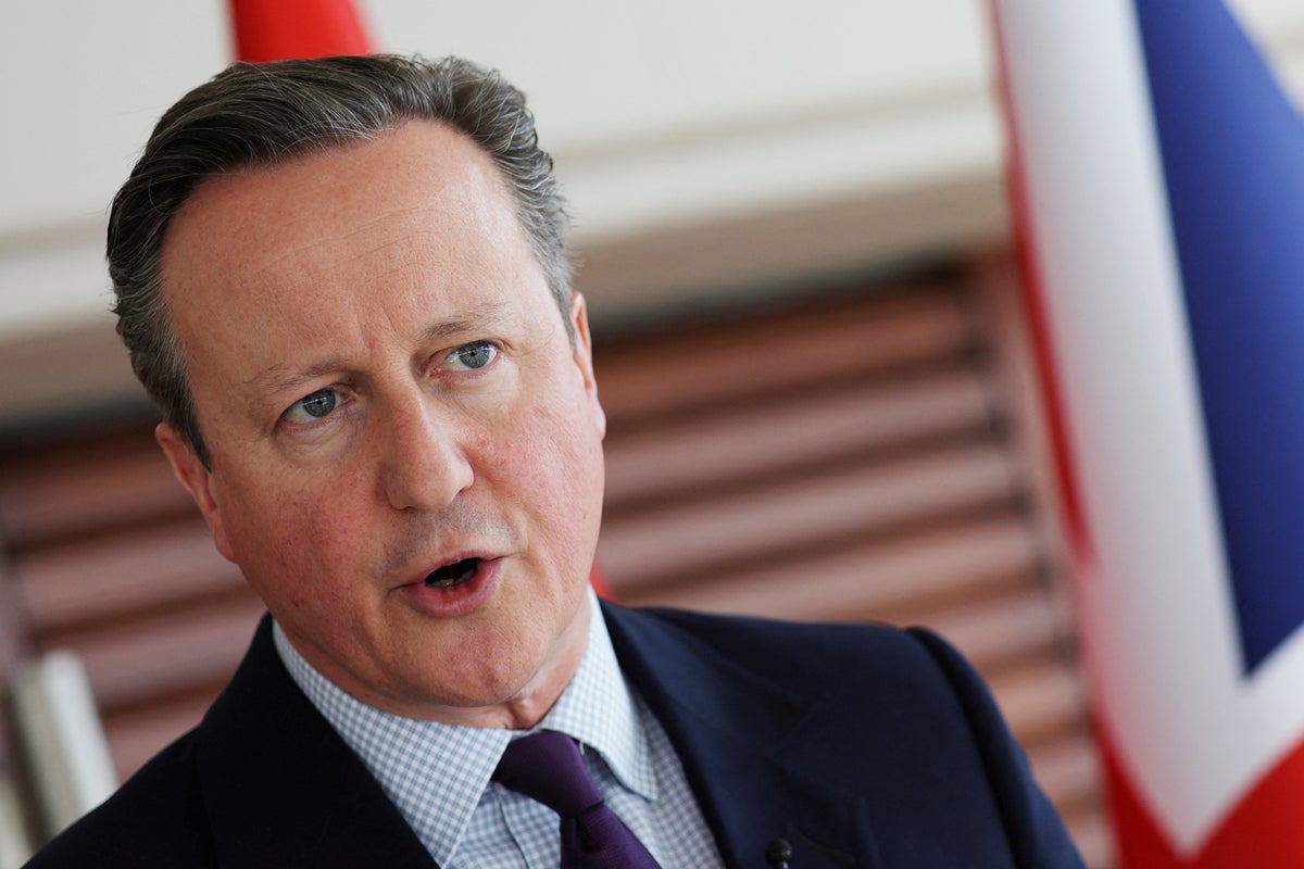 Reacción conservadora después de que Cameron pidiera al Estado palestino que pusiera fin al conflicto de Gaza