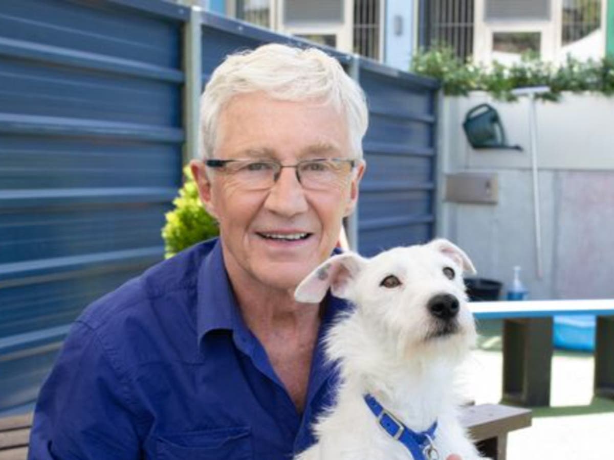 Alison Hammond makes Paul O’Grady promise after For the Love of Dogs