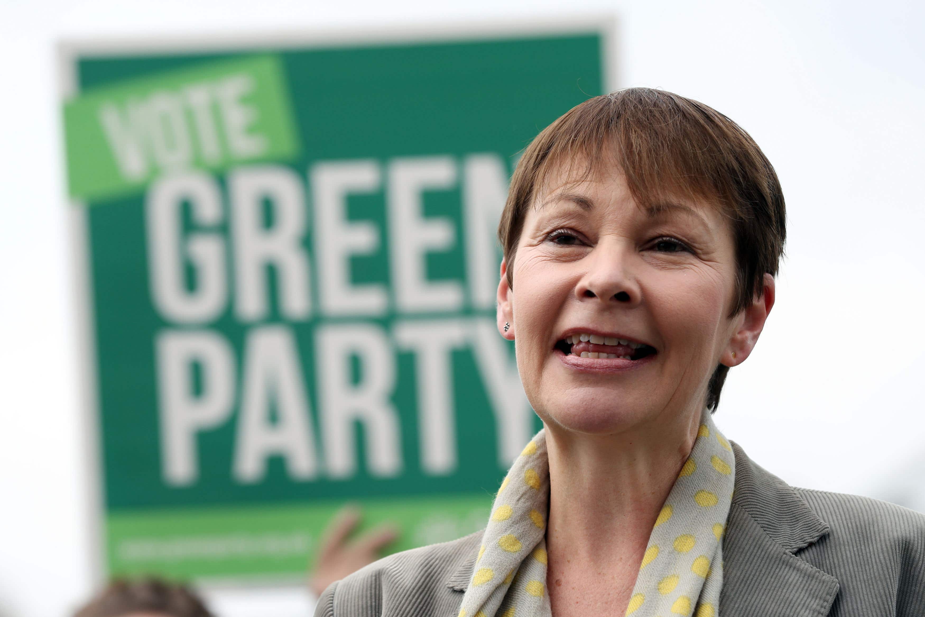 Sian Berry is standing to succeed Caroline Lucas in Brighton Pavilion