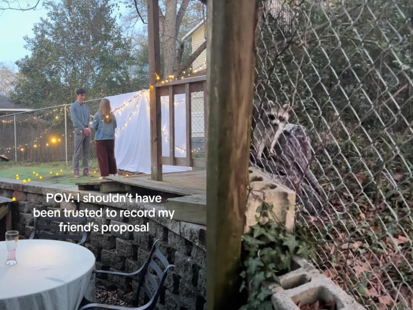 <p>Proposal video goes wrong after videographer gets hilariously distracted</p>