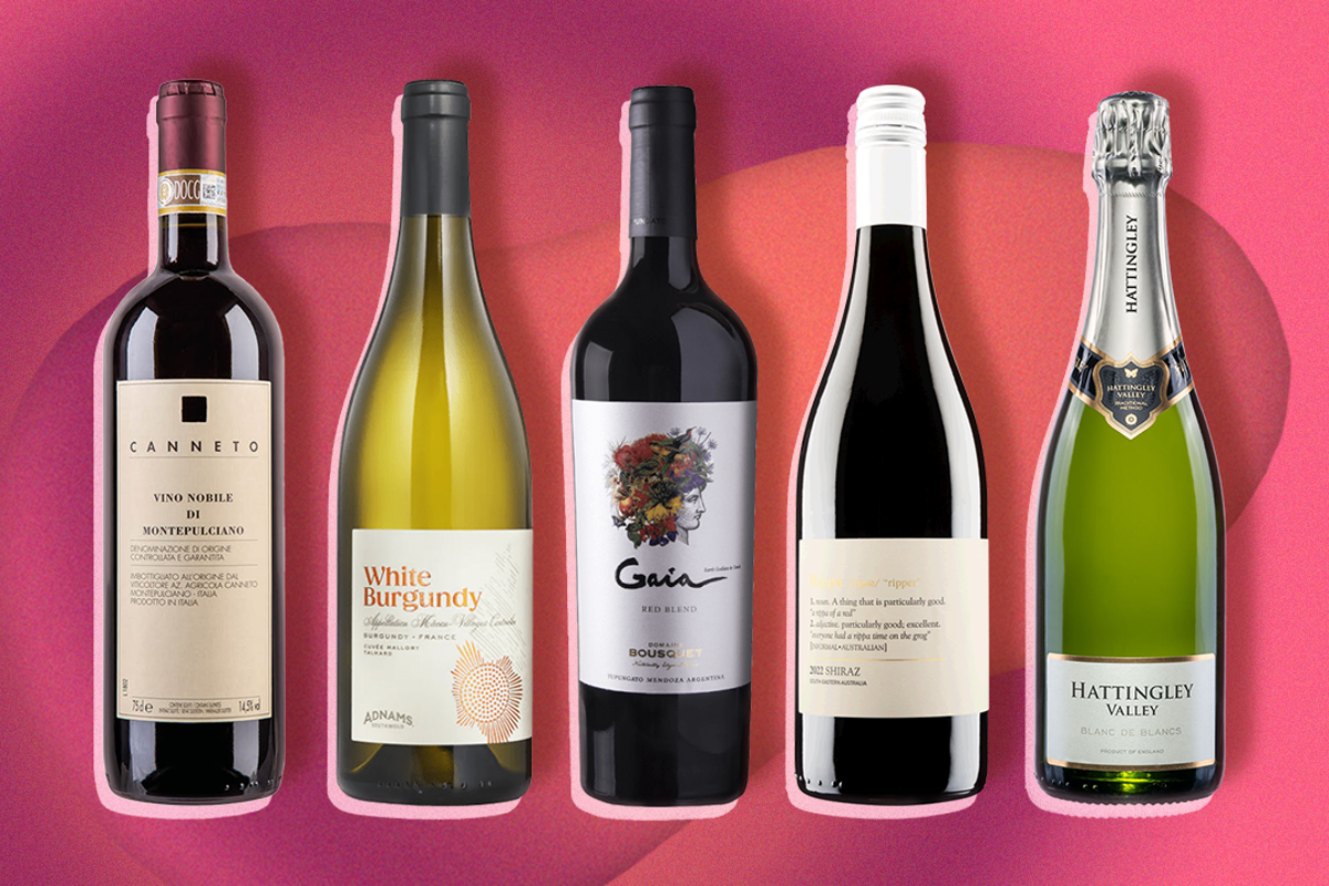 Best vegan wines 2024: Bottles of white, red and champagne