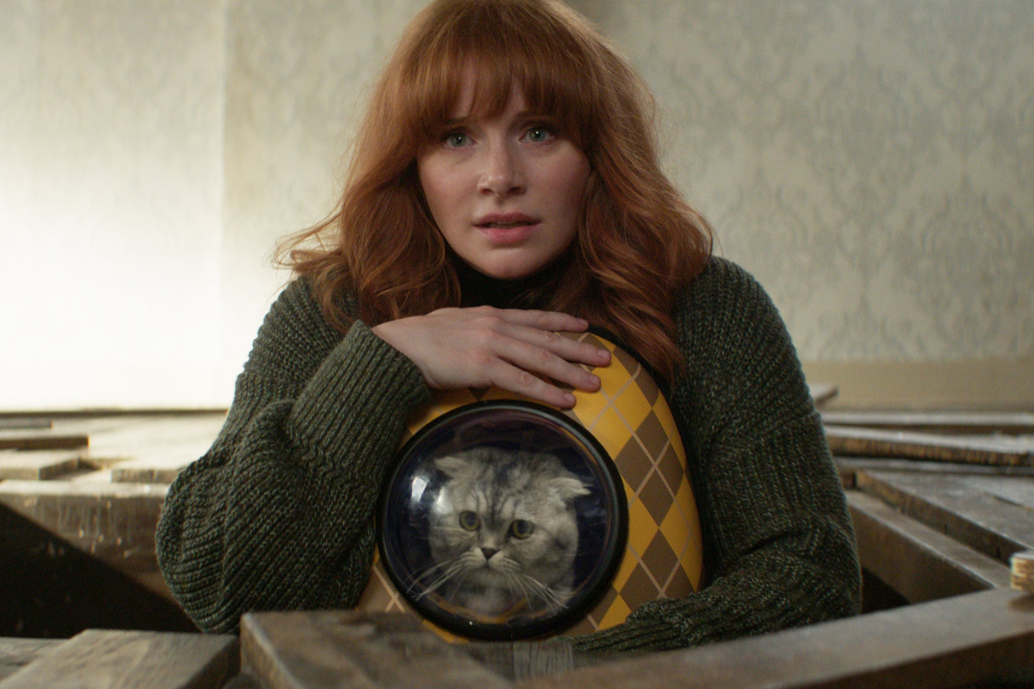 Bryce Dallas Howard (and cat) in the spy comedy ‘Argylle’