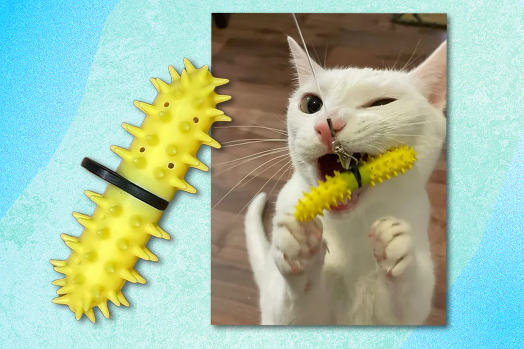 The dental wand squeezes toothpaste onto your cat’s teeth, while bristles remove plaque