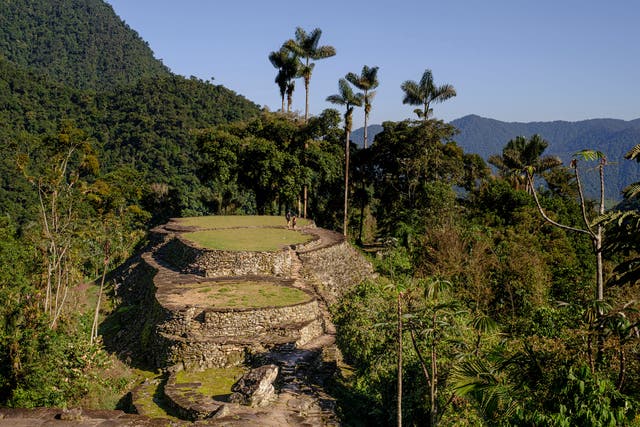 <p>Ciudad Perdida was ‘rediscovered’ by the outside world in the 1970s </p>