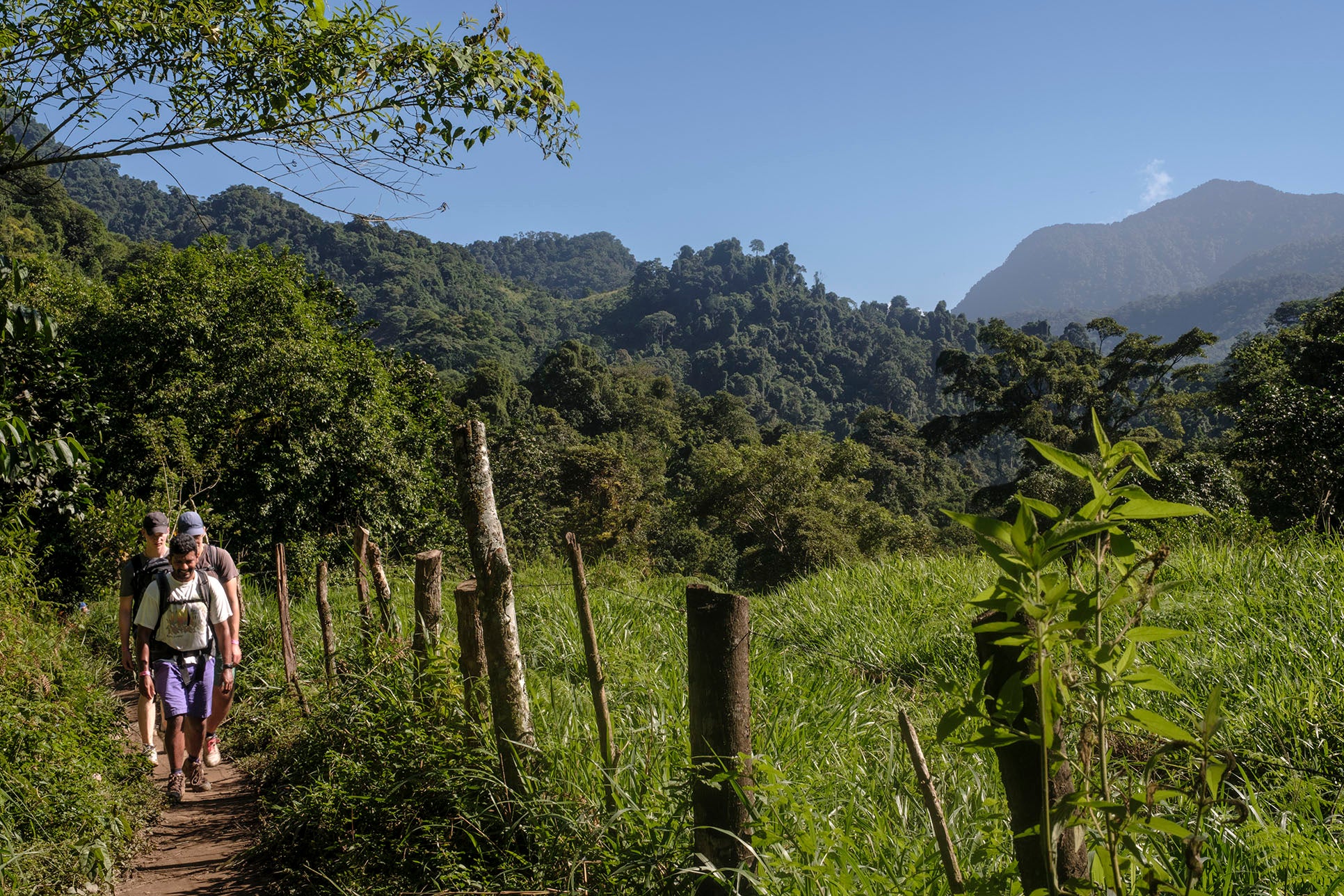 The hike takes visitors deep into remote Colombia