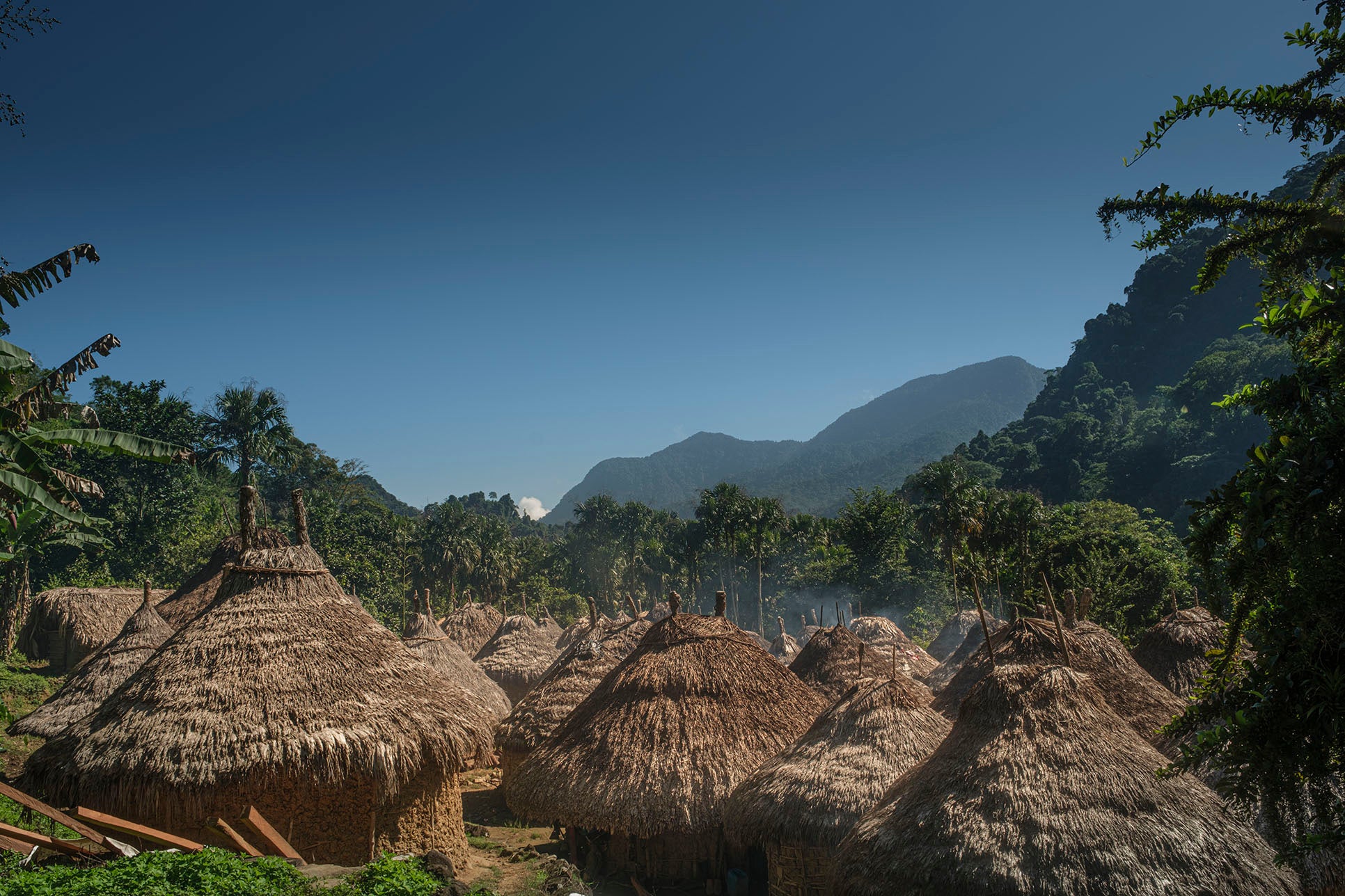 The thatched homes of the Kogui people