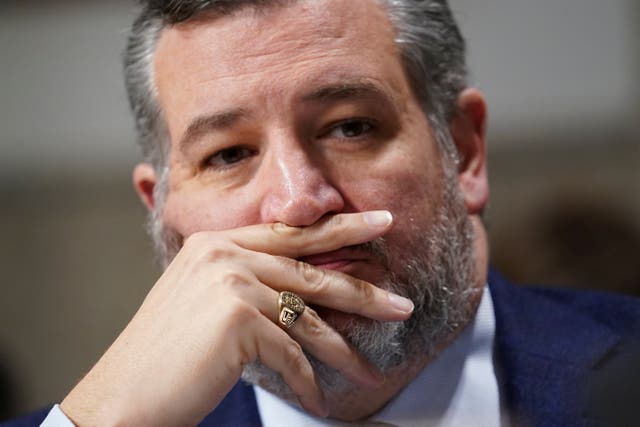 <p>Senator Ted Cruz has said he wants airport escorts for lawmakers</p>