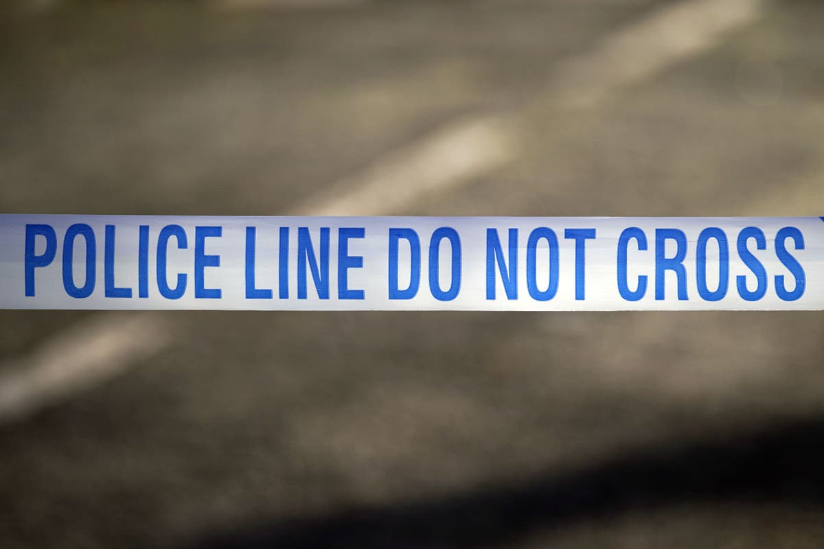 Woman mauled to death by two dogs in Essex as man arrested