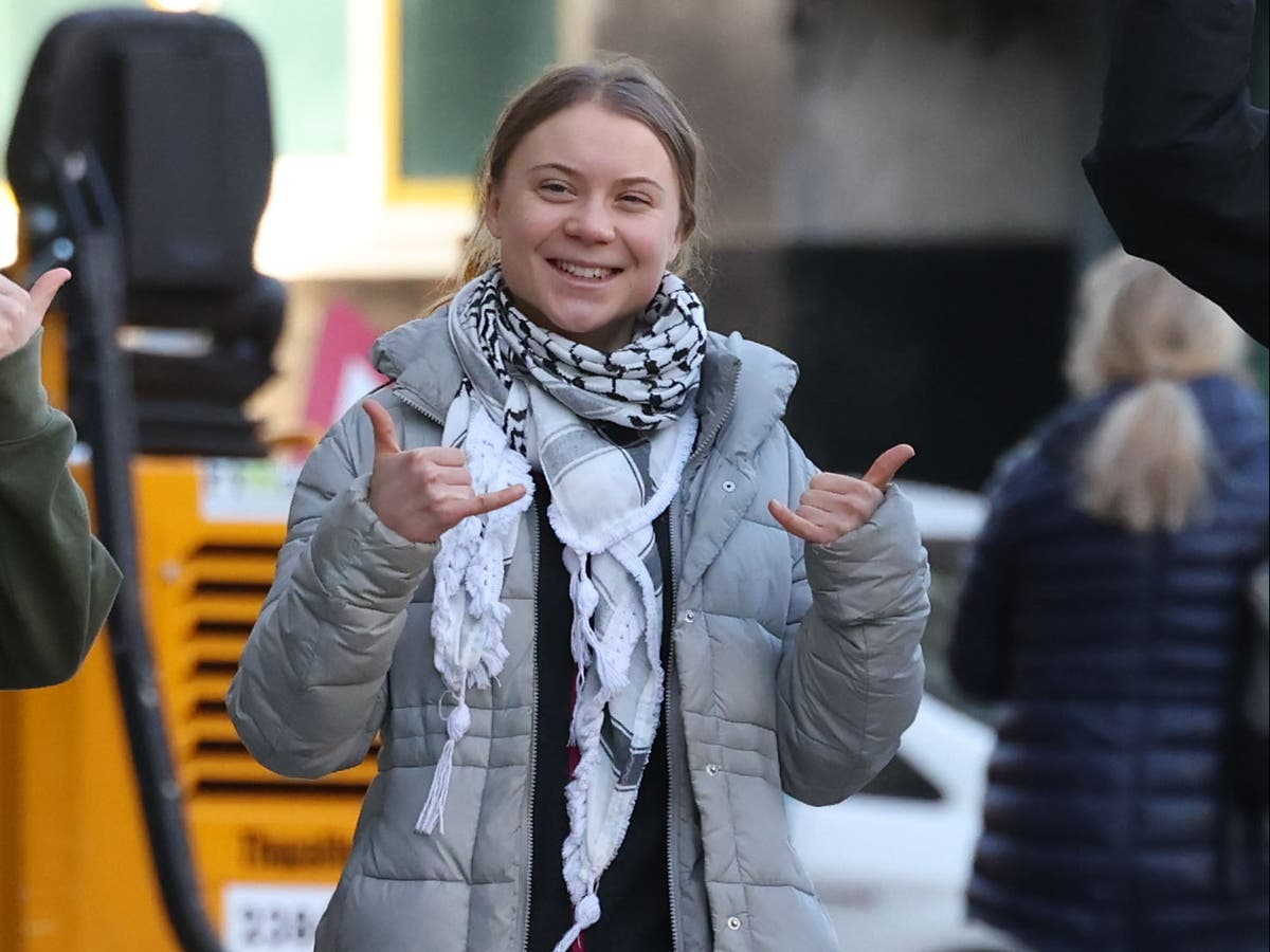 Greta Thunberg arrested after refusing to move from hotel during climate protest, court hears