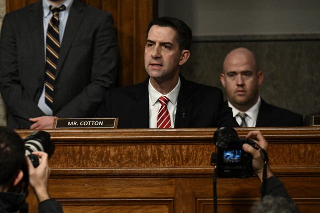 <p>US Republican Senator from Arkansas Tom Cotton (R) speaks during the US Senate Judiciary Committee hearing "Big Tech and the Online Child Sexual Exploitation Crisis" in Washington, DC, on January 31, 2024</p>