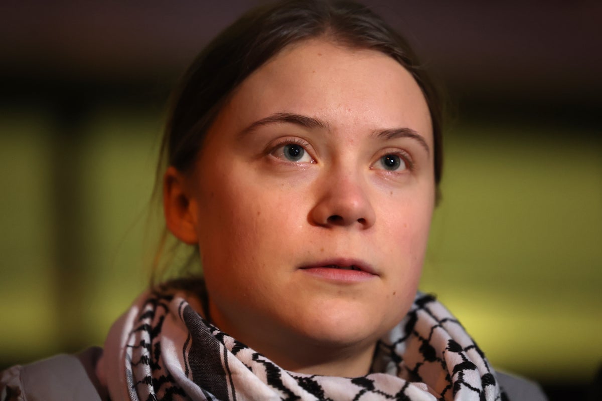 Watch: Greta Thunberg and co-defendants speak outside court after first day of trial