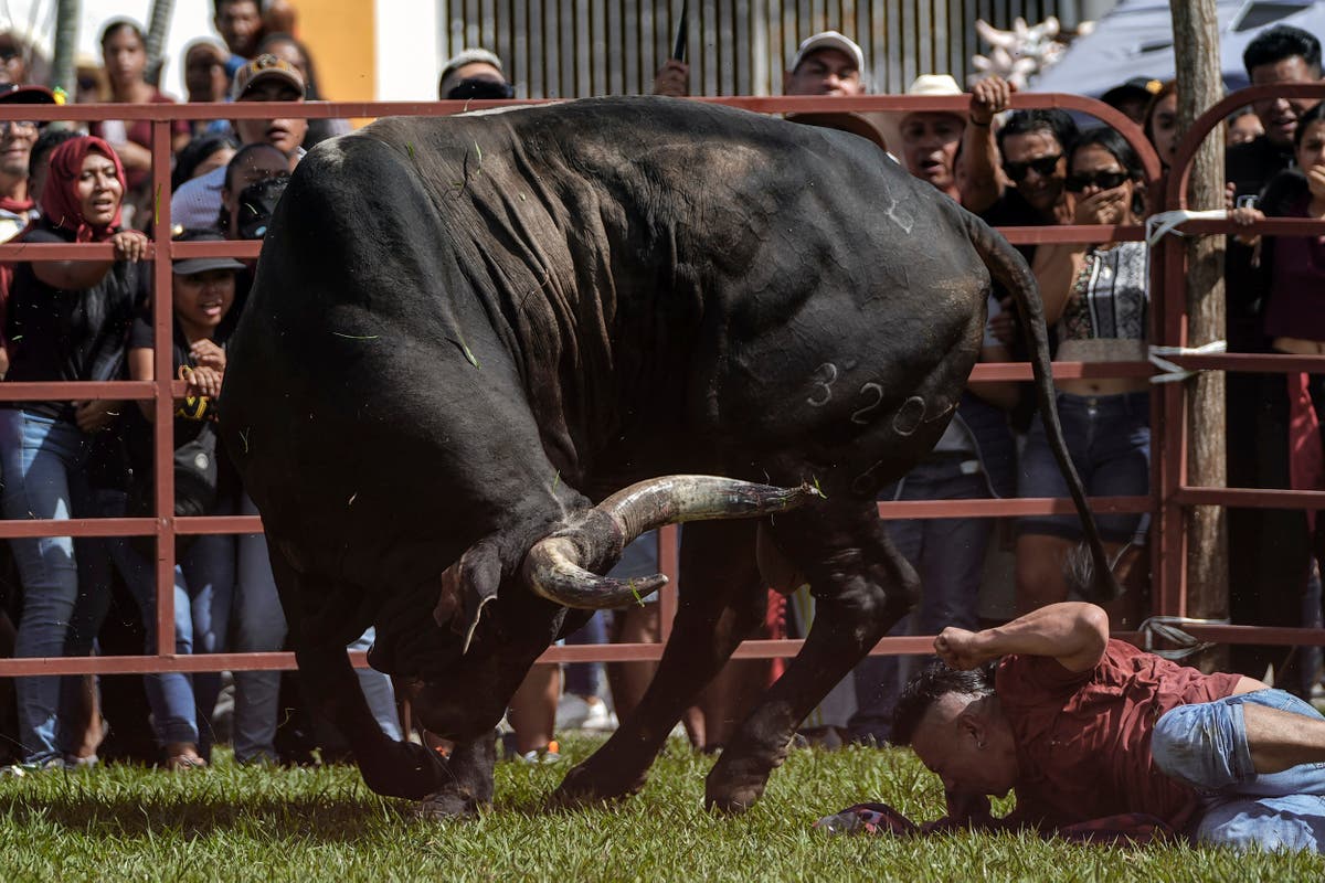 Mexican town continues bull running tradition despite legal struggle over bullfights in capital