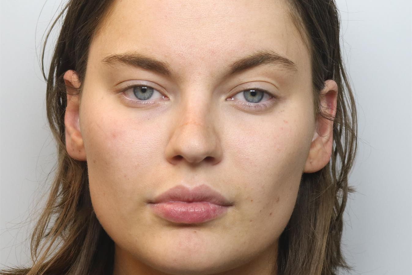 Judge Michael Leeming told the defendant ‘Prison may be hard for you, Alice Wood, but you only have yourself to blame’