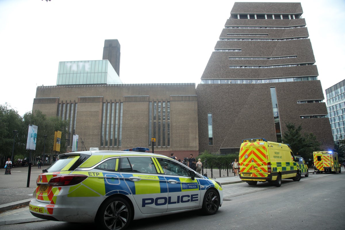 Family of boy thrown 100ft from Tate Modern balcony share update on his health