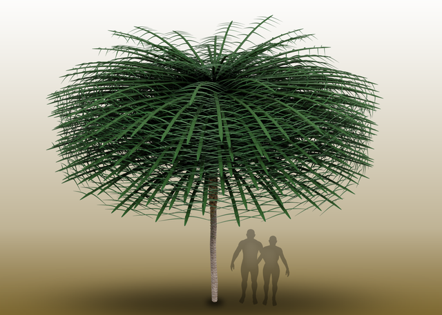 Scientists discover trees from 350m years ago that look completely ...