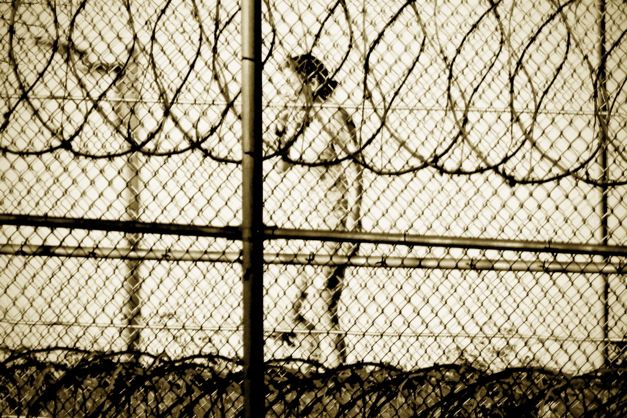 Convicted sex trafficker Ghislaine Maxwell, pictured exercising inside the fences of her Tallahassee prison, is serving a 20-year sentence
