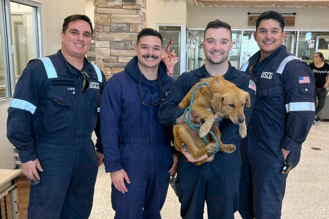 PERRO ATRAPADO EN CONTENEDOR