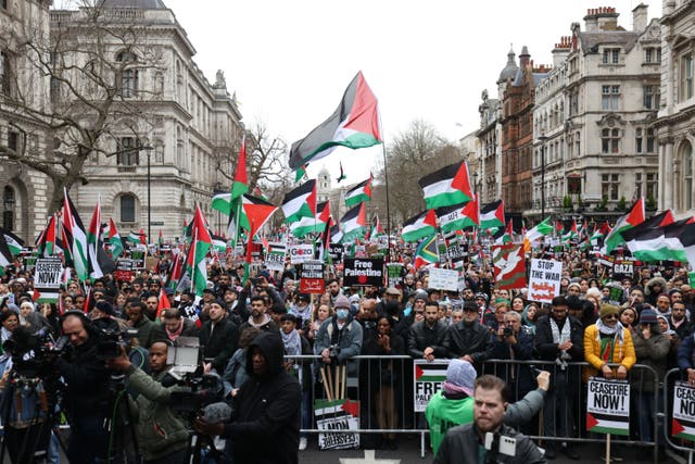 People during a pro-Palestine march in central London (