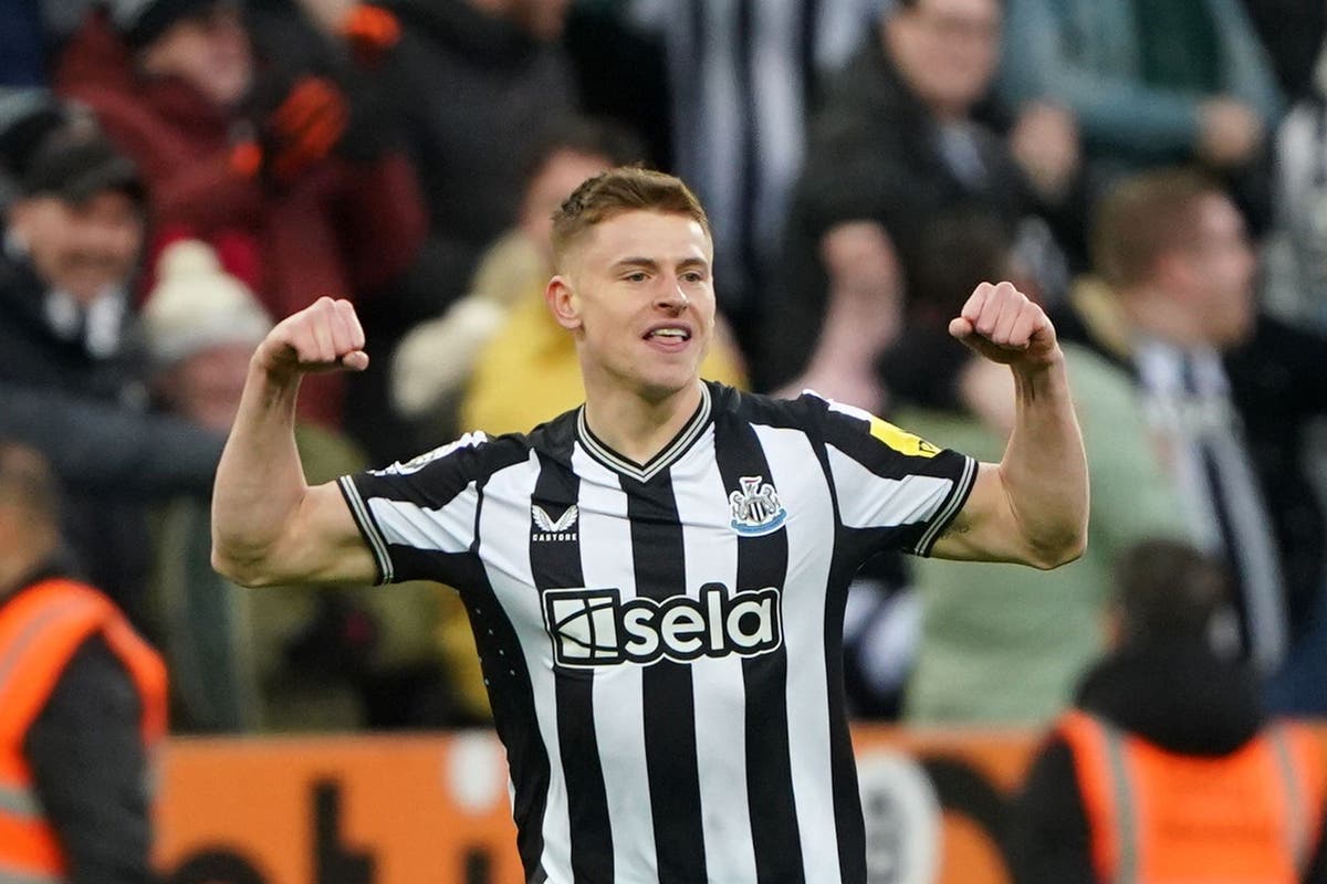 Harvey Barnes rescues point for Newcastle in St James’ Park thriller with Luton