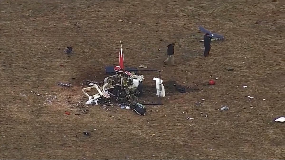 Goose found in flight control of medical helicopter that crashed in Oklahoma, killing 3