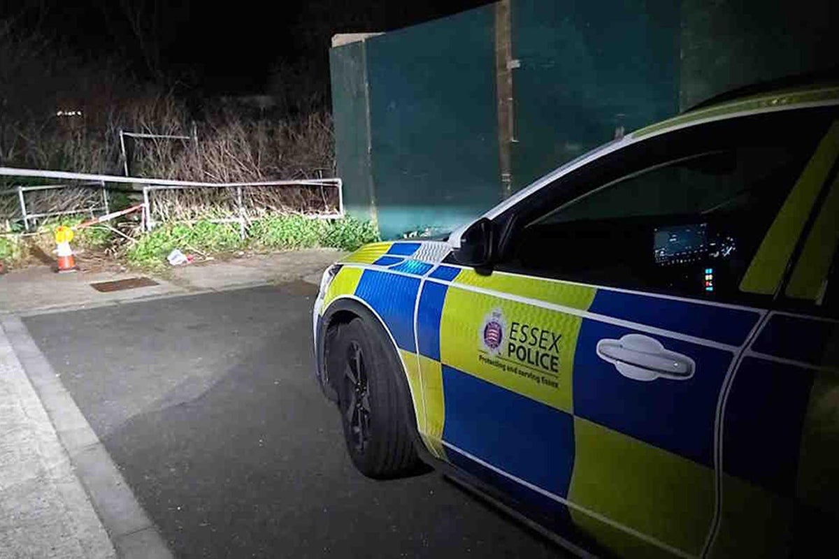 Woman, 68, killed in Essex dog attack named by police | The Independent