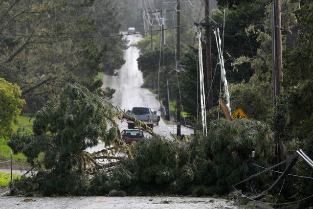 <p>Fallen trees and power lines block a road in Pebble Beach, California on 4 February, 2024 as the atmospheric river moved in across the state </p>