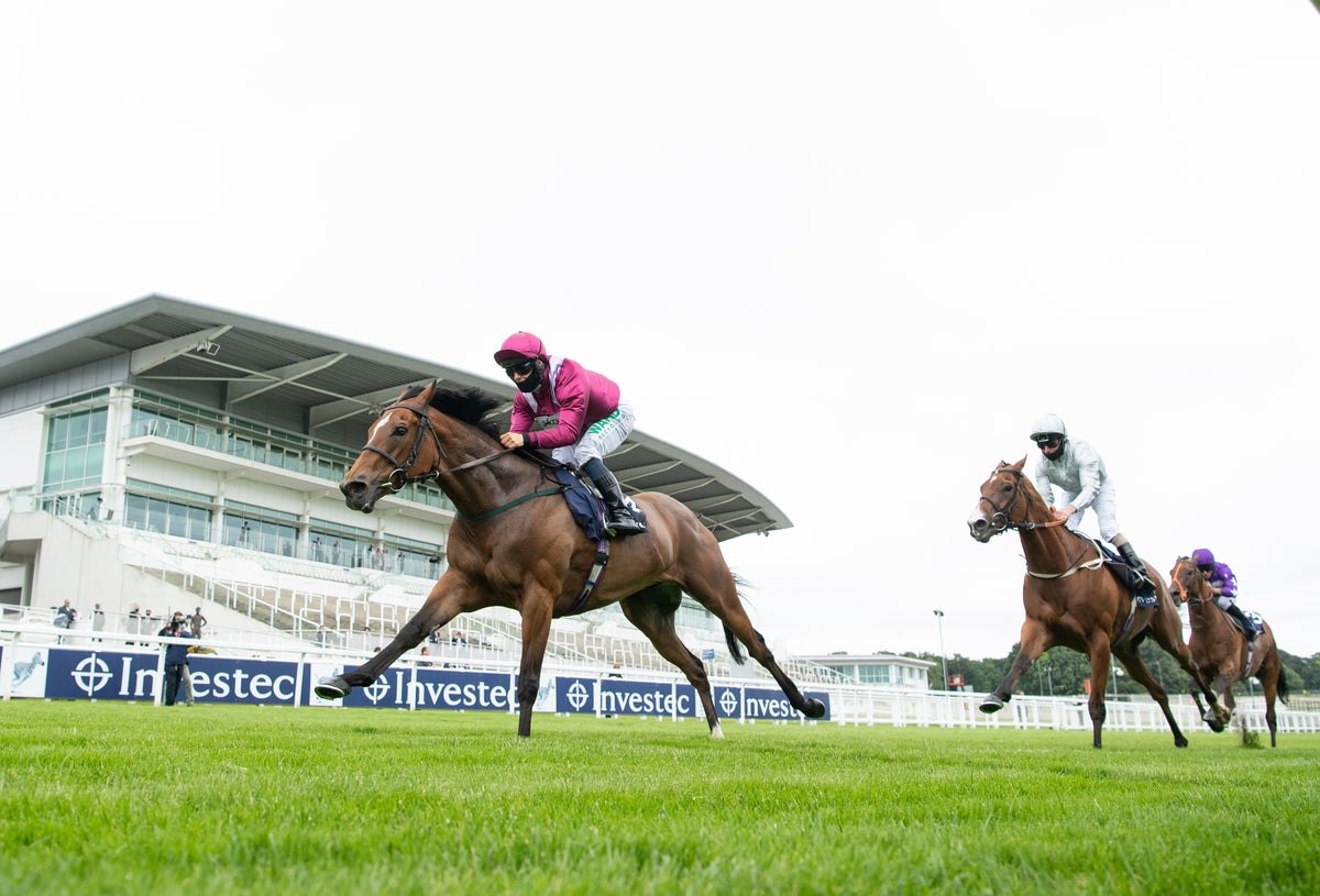 Jockey dies after falling from horse in Kent