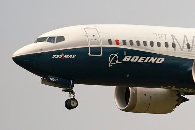 <p>A Boeing 737 Max jet prepares to land</p>